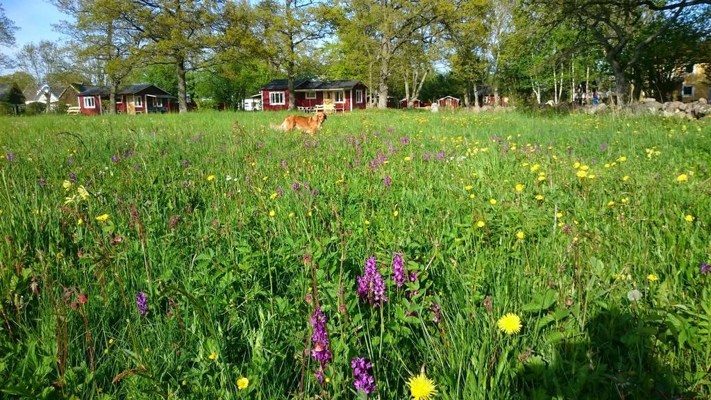 Stf Hagaby/Lantgarden Hostel Löttorp エクステリア 写真
